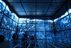 彩光對世博演繹做出了突出貢獻(xiàn)